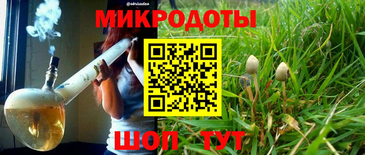 Галлюциногенные грибы Magic Shrooms Камышин
