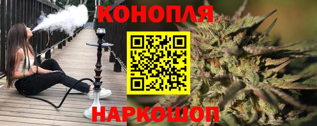 Бошки марихуана VHQ Камышин